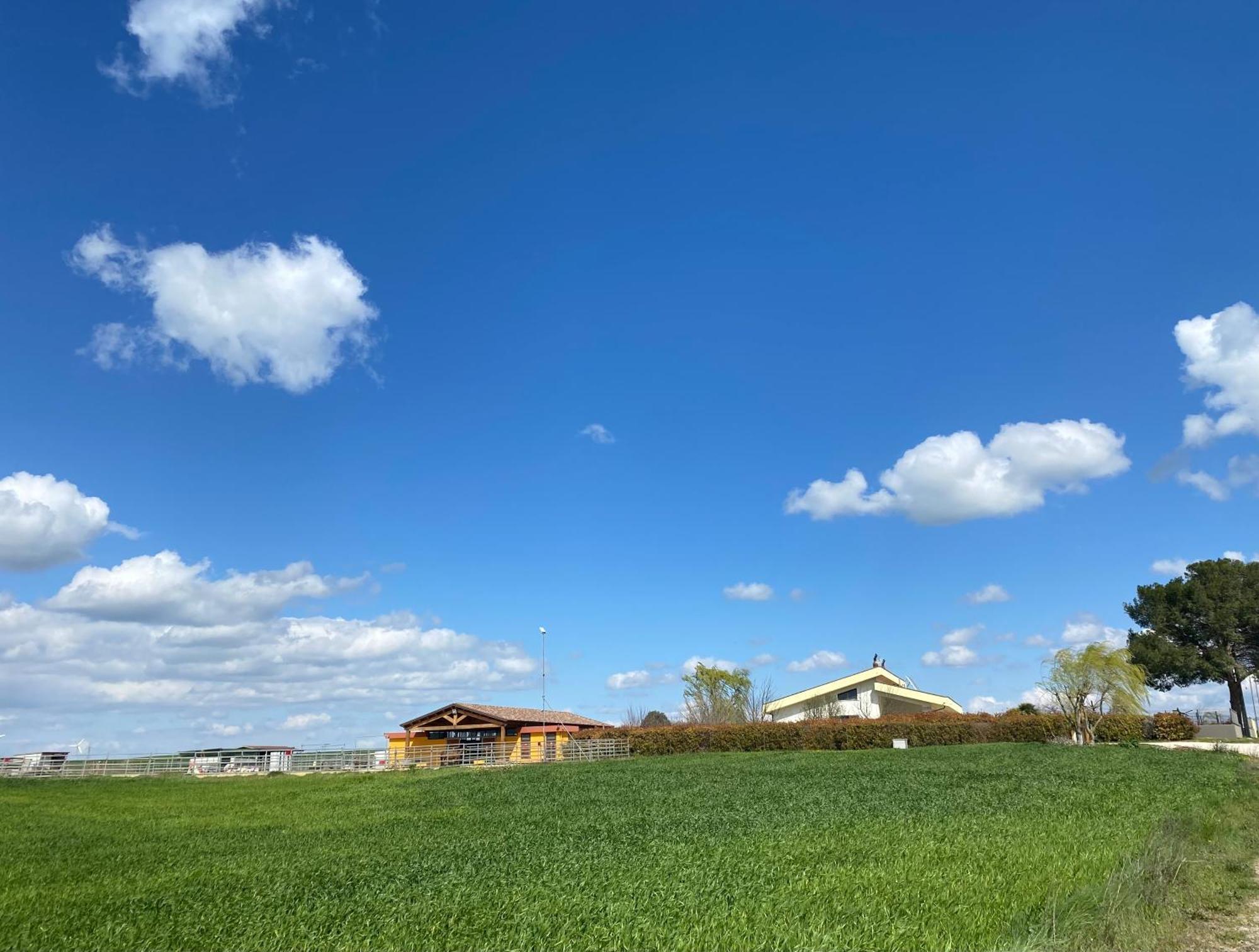 Villa Vento Barocco - Equitazione e Turismo Matera Esterno foto
